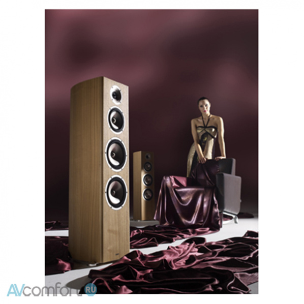 Acoustic Energy Radiance 3 Natural Ash Acoustic Energy Radiance 3 Natural Ash
