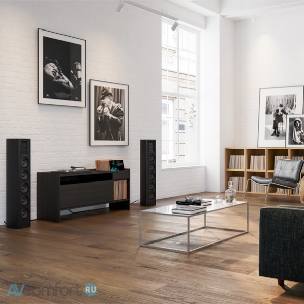 Piega Coax 611 Black Piega Coax 611 Black