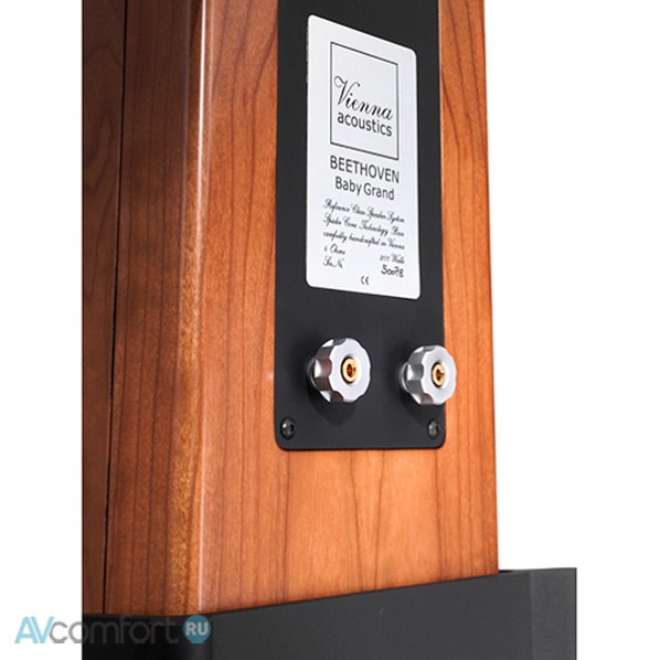 Vienna Acoustics Beethoven Baby Grand Symphony Edition Rosewood Vienna Acoustics Beethoven Baby Grand Symphony Edition Rosewood