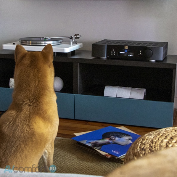 Moon by Simaudio ACE Black Moon by Simaudio ACE Black