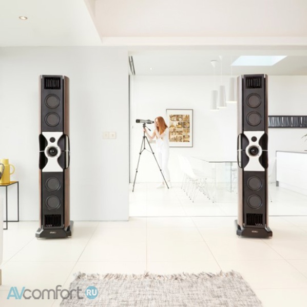 PMC Fact.Fenestria Rich Walnut PMC Fact.Fenestria Rich Walnut