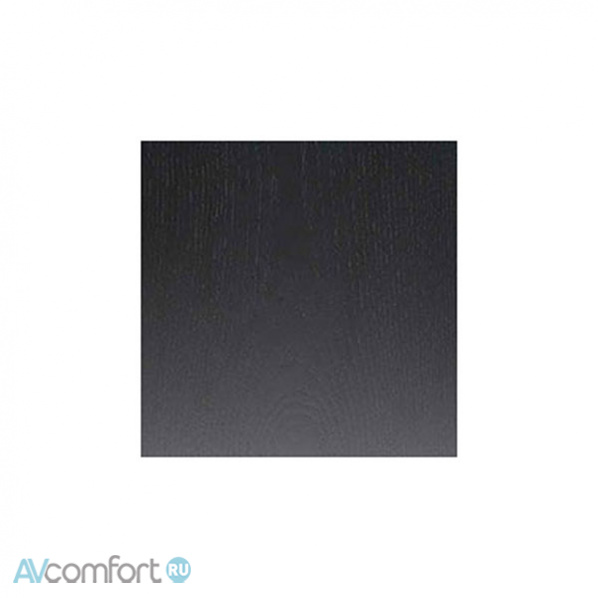 Living Voice Avatar II OBX-RW Black Ash Living Voice Avatar II OBX-RW Black Ash