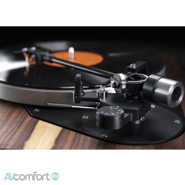 Dual Primus Maximus Walnut Wave Dual Primus Maximus Walnut Wave