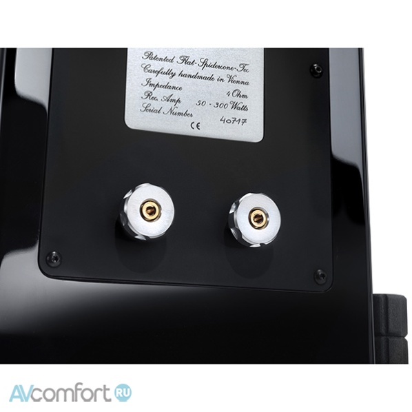 Vienna Acoustics Beethoven Concert Grand SE Cherry Vienna Acoustics Beethoven Concert Grand SE Cherry