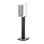 PARADIGM Persona B Harmony Gloss White