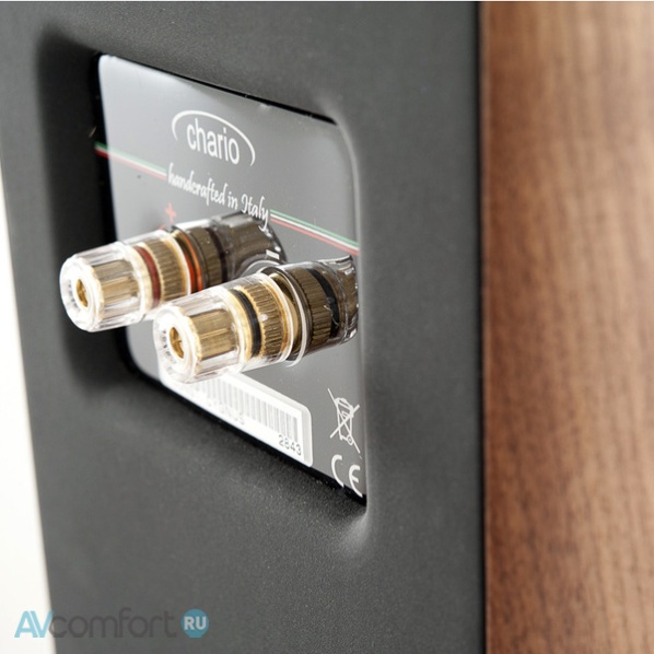 Chario Delphinius MKII Walnut Chario Delphinius MKII Walnut