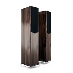 Acoustic Energy AE 509 Walnut Acoustic Energy AE 509 Walnut
