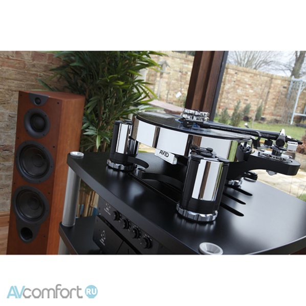 AVID Acutus SP AVID Acutus SP