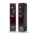 Living Voice Auditorium R25A Rosenut Living Voice Auditorium R25A Rosenut