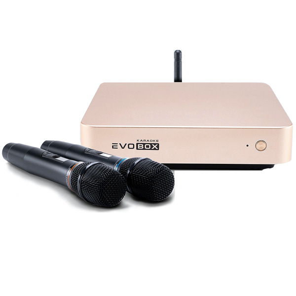 Evolution Evobox Classic с микрофонами Gold Evolution Evobox Classic с микрофонами Gold