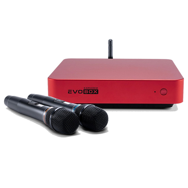 Evolution Evobox Classic с микрофонами Ruby Evolution Evobox Classic с микрофонами Ruby