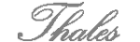 логотип THALES