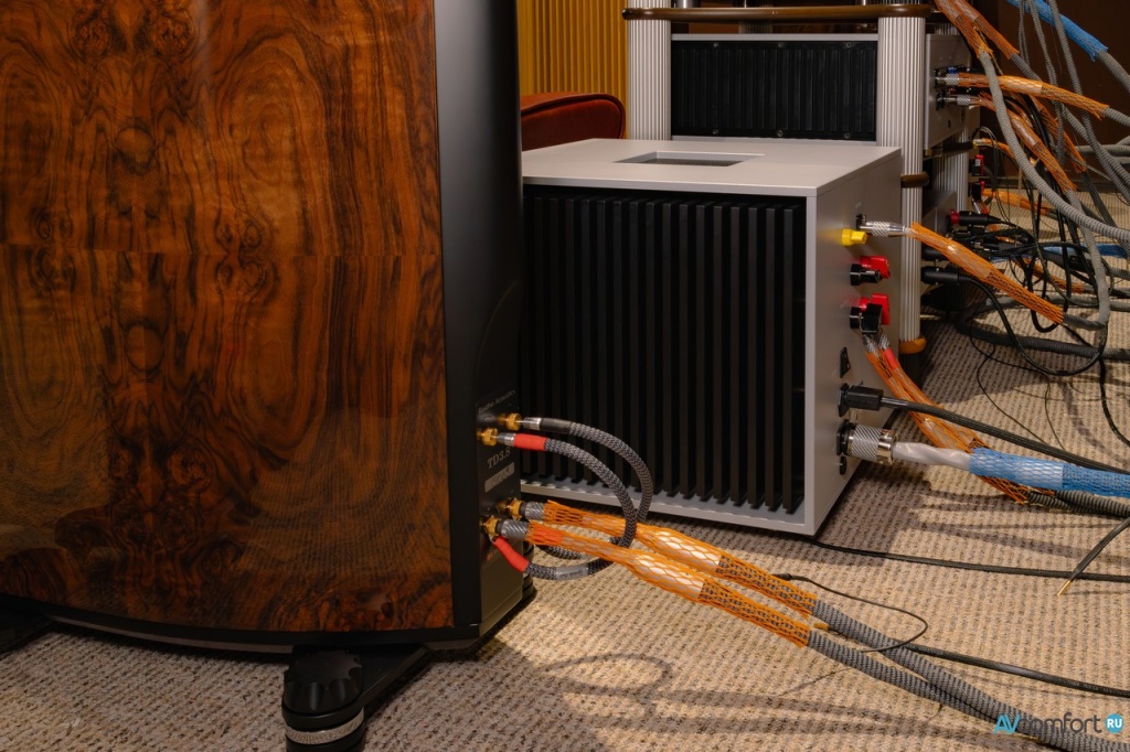 Усилитель мощности Pilium Audio Cronus и Raidho Acoustics TD3.8 в AVComfort Усилитель мощности Pilium Audio Cronus и Raidho Acoustics TD3.8 в AVComfort