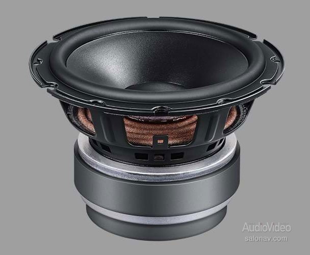 Dynaudio_Emit_20_woofer.jpg