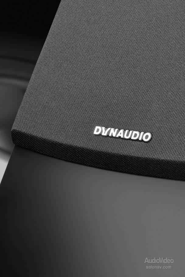 Dynaudio_Emit_50_12.jpg