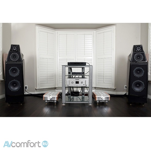 Dan D’Agostino Momentum M400 MxV Monaural Amplifier Silver Dan D’Agostino Momentum M400 MxV Monaural Amplifier Silver