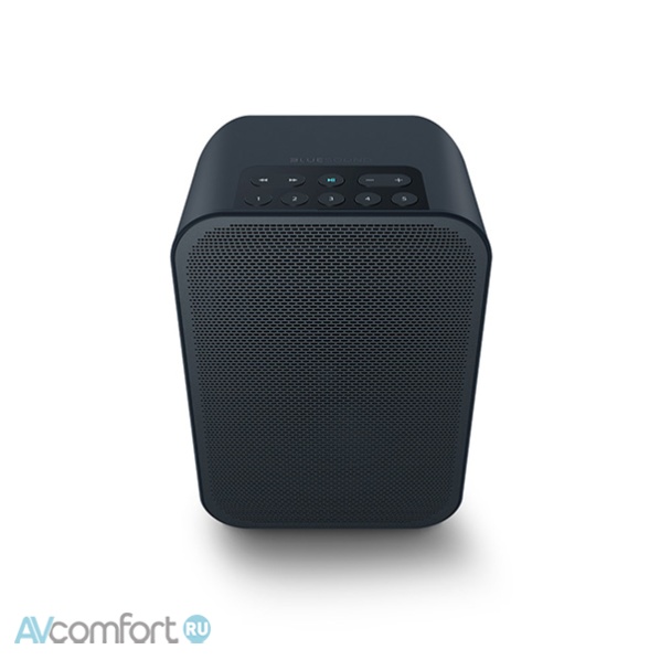 Bluesound Pulse Flex 2i Black Bluesound Pulse Flex 2i Black