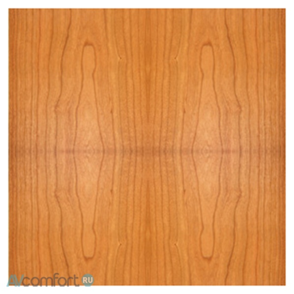 ATC SCM20 SL Cherry ATC SCM20 SL Cherry