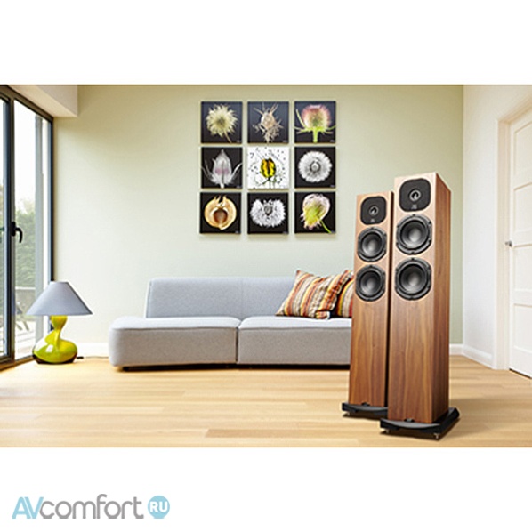 Neat Acoustics Motive SX1 Walnut Neat Acoustics Motive SX1 Walnut