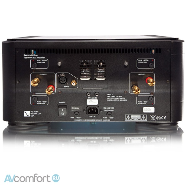 Ps Audio BHK Signature 300 mono Silver Ps Audio BHK Signature 300 mono Silver