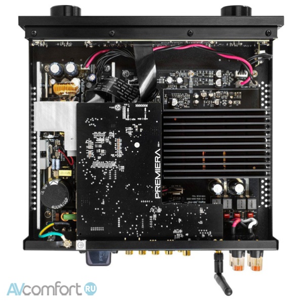 Premiera D2S Black Premiera D2S Black