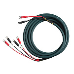 Cardas Audio Parsec 2 m Banana Cardas Audio Parsec 2 m Banana