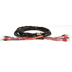 BLACK RHODIUM Duet DCT ++ Crystal Sound Bi Wire 3,0 m
