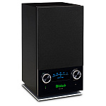 MCINTOSH RS150