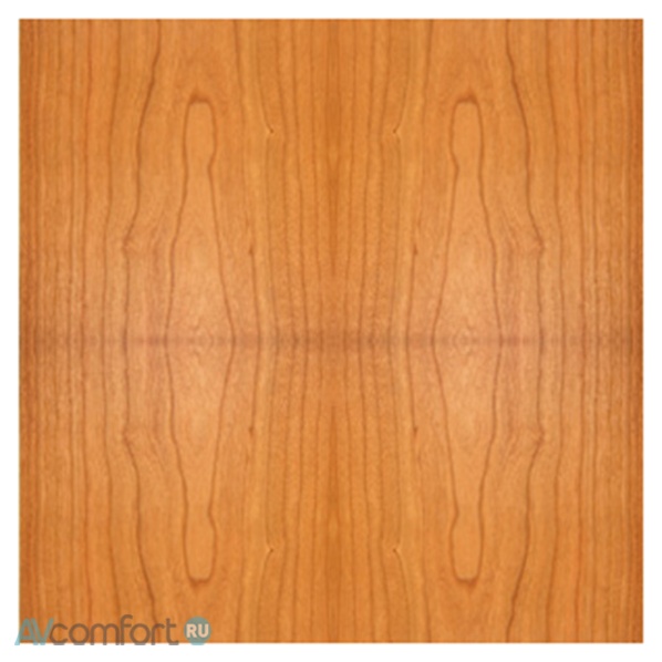 ATC SCM20 SLT Cherry ATC SCM20 SLT Cherry