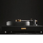 BERGMANN AUDIO Magne Anniversary Gold Edition Black