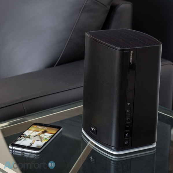 Paradigm PW 600 Black Paradigm PW 600 Black