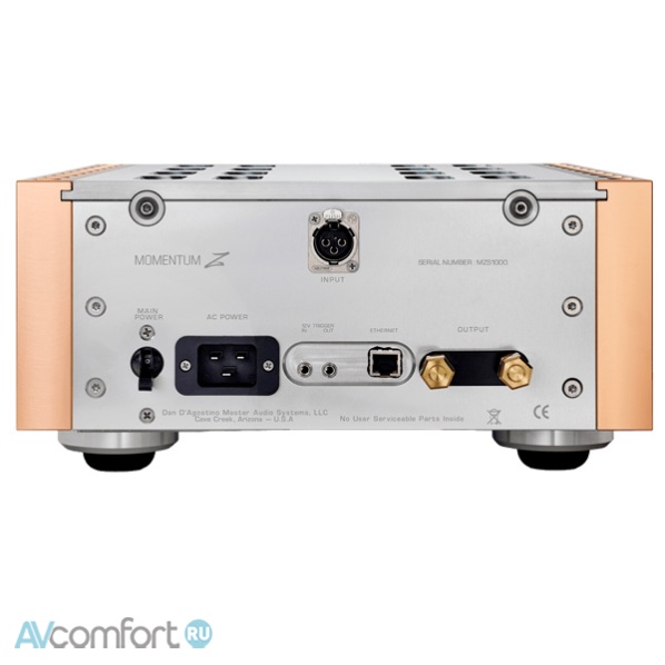 Dan D’Agostino Momentum Z Monaural Amplifier Silver Dan D’Agostino Momentum Z Monaural Amplifier Silver