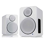 WHARFEDALE DS-2 White