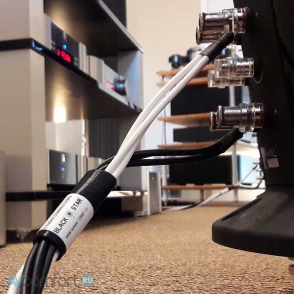 Studio Connections Black Star SP Banana 2.5 m Studio Connections Black Star SP Banana 2.5 m